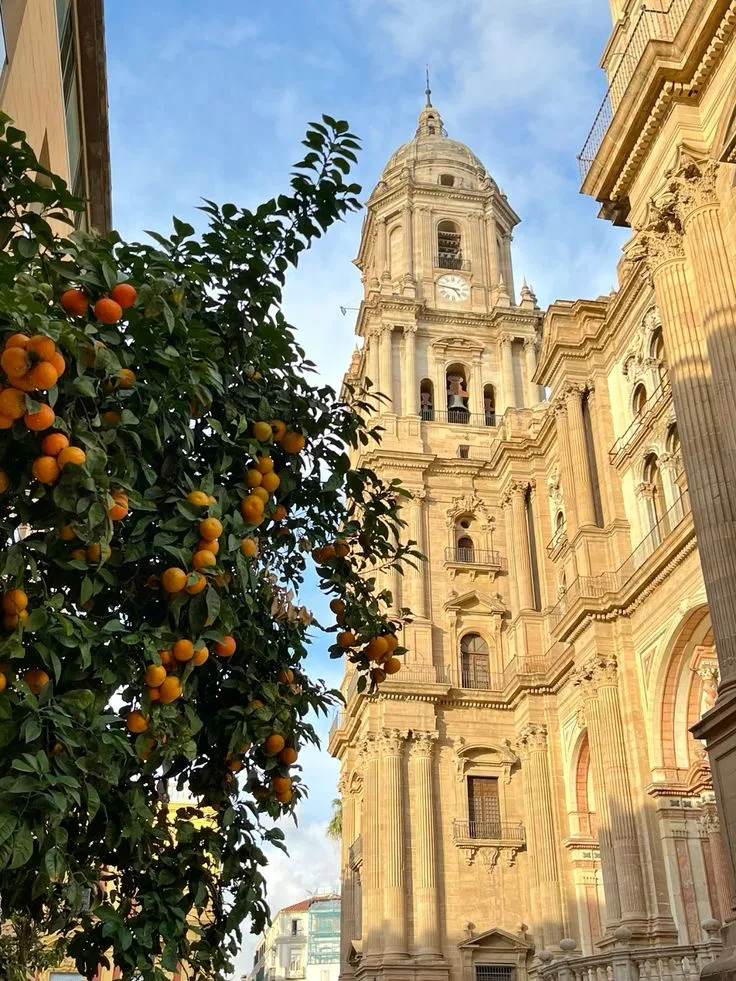 The Cathedral, Old Town